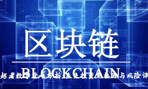 穿越者数字货币分析：未来投资新机遇与风险评估
