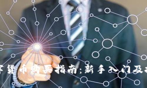 全球数字货币购买指南：新手入门及投资技巧