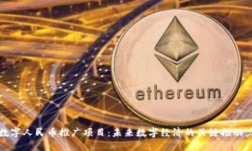 数字人民币推广项目：未来数字经济的关键推动力