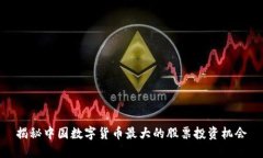 揭秘中国数字货币最大的