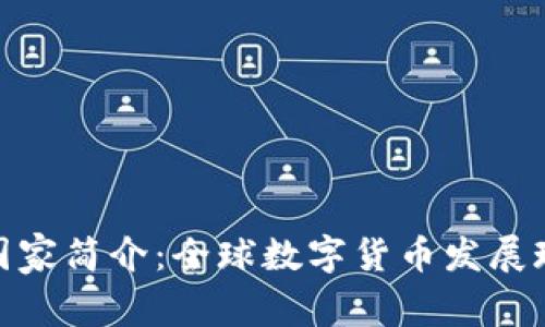 数字货币国家简介：全球数字货币发展现状与趋势