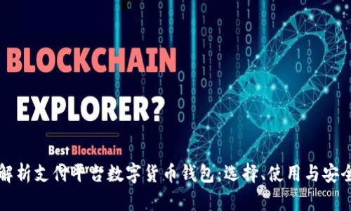 全面解析支付平台数字货币钱包：选择、使用与安全指南