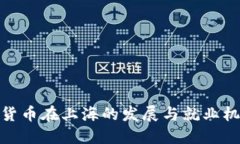 : 数字货币在上海的发展与