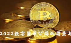 智利2022数字货币公司的前