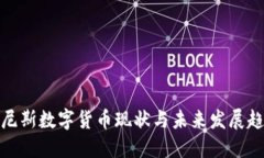 突尼斯数字货币现状与未