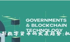 未来俄罗斯数字货币的发