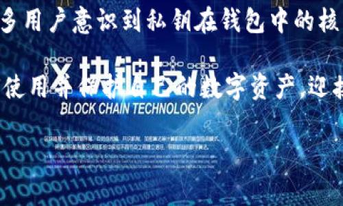 关于TP钱包，没有密码的问题其实涉及到一些基本的概念及使用注意事项。在加密货币领域，TP钱包通常是指“Token Pocket”钱包，作为一款去中心化的钱包，TP钱包与传统的账户管理方式有所不同。接下来，我将详细介绍TP钱包的相关特性，并解答关于没有密码的疑问。

TP钱包简介
TP钱包是一款多链支持的数字资产钱包，用户可以通过它管理多种类型的加密货币。与传统的银行账户不同，TP钱包并不使用密码来进行账户保护，而是通过私钥来进行安全保障。用户在创建钱包时，会生成一对公钥和私钥，公钥用于接收资产，私钥则用于管理和控制这些资产。

为什么TP钱包没有传统意义上的密码？
传统银行账户需要密码来保护用户信息和资金的安全，而TP钱包采用了完全不同的机制。用户的资产安全主要依赖于私钥，而不是密码。私钥是钱包的核心，任何拥有私钥的人都可以操作钱包中的资产。因此，保护好私钥非常重要。

如何创建TP钱包？
在创建TP钱包时，用户需遵循以下步骤：
ol
    li下载并安装TP钱包应用。/li
    li选择创建新钱包选项。/li
    li系统会生成一对私钥和公钥，你需要将私钥妥善保管，最好是写下来并存放在安全的地方。/li
    li在系统提示下设置钱包的名称，以便于管理。/li
    li完成后，用户将拥有一个新的TP钱包，使用公钥即可接收矿资产，而管理权限则在私钥手中。/li
/ol

私钥的重要性
私钥是TP钱包的核心。《真心觉得》，很多新手在创建钱包后对私钥的重要性并没有清晰的认识。有些用户会选择将私钥截图或存储在云端，这样做其实是非常不安全的。一旦私钥被他人获取，你的资产就可能会不翼而飞。

如何保护私人钥匙？
为了保护你的钱包安全，用户可以采取以下措施：
ul
    li尽量避免将私钥上传到网络。/li
    li使用硬件钱包来存放私钥，硬件钱包是一种专用设备，能够在离线的状态下保护用户的私钥。/li
    li定期检查版本更新和安全补丁，确保APP安全性。/li
/ul

TP钱包的功能与优势
TP钱包不仅是存储资产的工具，还具备多种功能：
ul
    li多链支持：TP钱包支持多个区块链平台，如Ethereum、Tron等，用户可以跨链管理数字资产。/li
    li去中心化：用户完全控制自己的资产，没有第三方介入，保障了用户的隐私和安全。/li
    li易于使用：用户界面友好，便于新手操作，进行资产管理和交易十分方便。/li
/ul

用户的关心与疑惑
在使用TP钱包的过程中，用户可能会出现一些关心和疑虑，下面我将列举几个常见问题，以及我的见解。

问题一：如果我丢失了私钥怎么恢复钱包？
有点遗憾的是，一旦用户丢失了私钥，钱包中的资产也将无法恢复。这就是为什么创建钱包时需要仔细记录和妥善保存私钥的原因。有些钱包还提供助记词功能，用户在创建时可以记录这些助记词作为替代秘钥。如果记得助记词，用户仍可以恢复钱包资产。在这里建议用户进行多重备份，纸质和数字化备份相结合，以降低风险。

问题二：TP钱包安全吗？
TP钱包的安全性相对较高，其去中心化特性使得资金控制在用户手中。但这并不意味着绝对安全，用户的操作也是关键。用户需要保持警惕，避免点击未知链接，使用强密码并开启双重认证（如需）等。在日常使用中，确保只下载官方的TP钱包应用，防止遭受恶意软件攻击。

总结与展望
在总结TP钱包的使用经验与教训时，我想强调保护私钥的重要性，有点遗憾的是，许多用户在初次接触时对此认识不足。希望通过这样的讲解，让更多用户意识到私钥在钱包中的核心地位，掌握正确的使用方式，确保资产安全。从长远来看，TP钱包作为一款多链钱包，其未来发展潜力巨大，使用范围和功能有望进一步拓展。

在这个数字资产迅速发展的时代，TP钱包将可能成为更多用户的选择，尤其是在去中心化趋势逐渐强劲的背景下。希望每个用户都能充分理解如何使用并保护自己的数字资产，迎接未来的挑战与机遇。 

希望以上内容能够解答你的疑问！如果还有其他问题，欢迎继续提问。