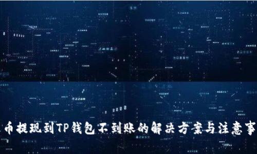 火币提现到TP钱包不到账的解决方案与注意事项