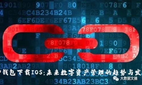 TP钱包下载IOS：未来数字资产管理的趋势与发展