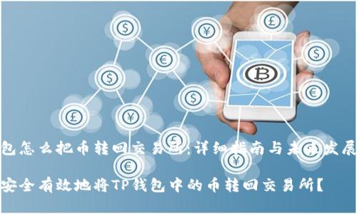tp钱包怎么把币转回交易所：详细指南与未来发展趋势

如何安全有效地将TP钱包中的币转回交易所？