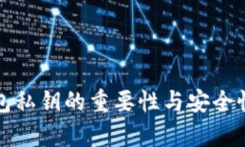 TP钱包私钥的重要性与安全性分析