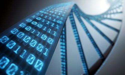 

beaoti如何将TP钱包中的USDT转到火币交易所？详尽步骤与注意事项