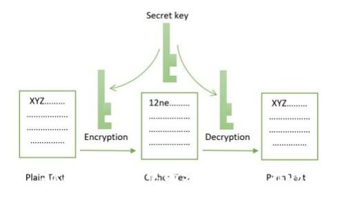 XRP在TP钱包中的分类及管理技巧
