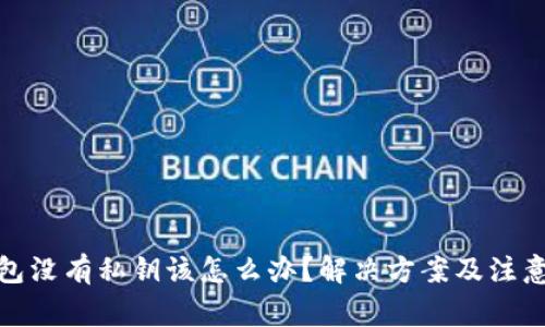 tp钱包没有私钥该怎么办？解决方案及注意事项