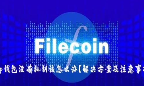 tp钱包没有私钥该怎么办？解决方案及注意事项