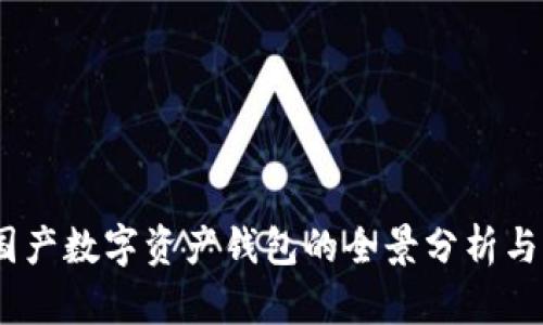 TP钱包：国产数字资产钱包的全景分析与功能探讨