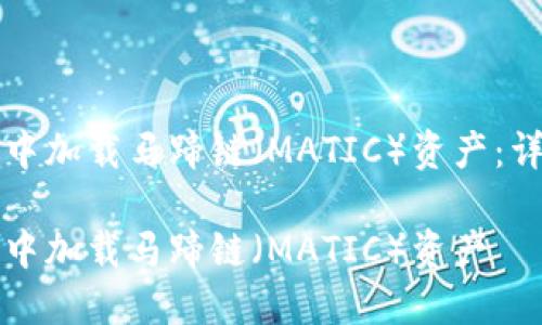 如何在TP钱包中加载马蹄链（MATIC）资产：详细步骤与技巧

如何在TP钱包中加载马蹄链（MATIC）资产