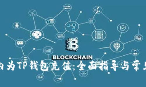 如何在国内为TP钱包充值：全面指导与常见问题解答