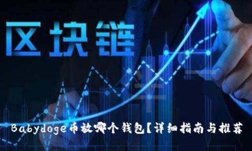 Babydoge币放哪个钱包？详细指南与推荐