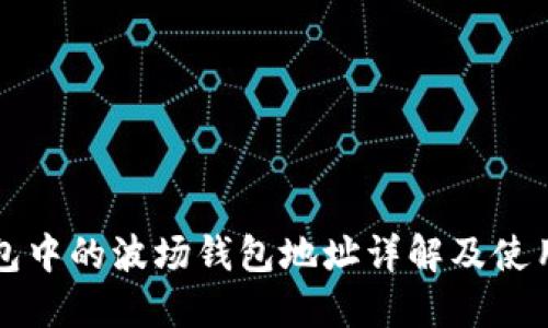 TP钱包中的波场钱包地址详解及使用指南