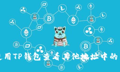 如何使用TP钱包查看其他地址中的币余额