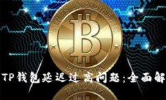 如何解决TP钱包延迟过高问