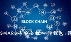 如何将SMARS币安全提入TP钱包：详细指南