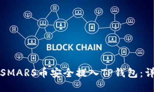 如何将SMARS币安全提入TP钱包：详细指南