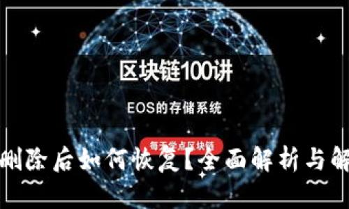 TP钱包删除后如何恢复？全面解析与解决方案