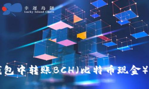 如何在TP钱包中转账BCH（比特币现金）的详细指南