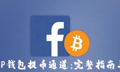 
如何高效使用TP钱包提币通道：完整指南与安全注意事项