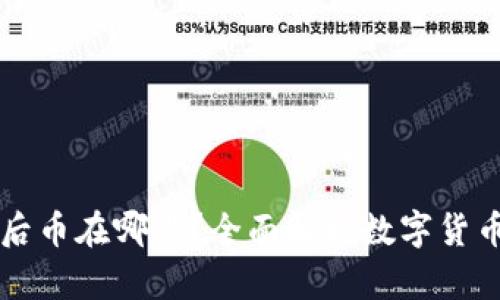 TP钱包买币后币在哪里？全面解析数字货币存储与取用