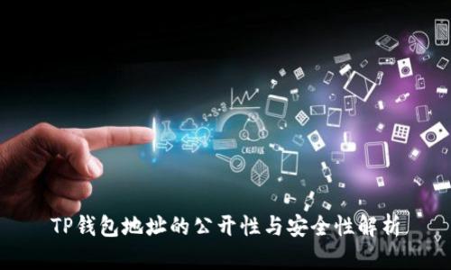 TP钱包地址的公开性与安全性解析