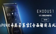 TP中的PUKE币是否真实？全面解析与风险提示